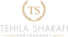 סטודיו TS logo